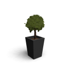 Baum im Kübel für die 3D Raumplanung