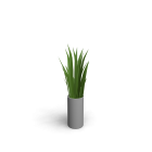 Gräser in Vase für die 3D Raumplanung