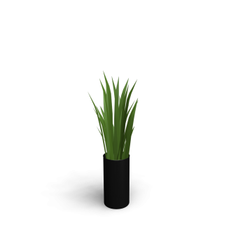 Gräser in Vase