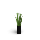 Gräser in Vase