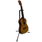 Guitar with Stand
