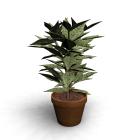 Houseplant for your 3d room design