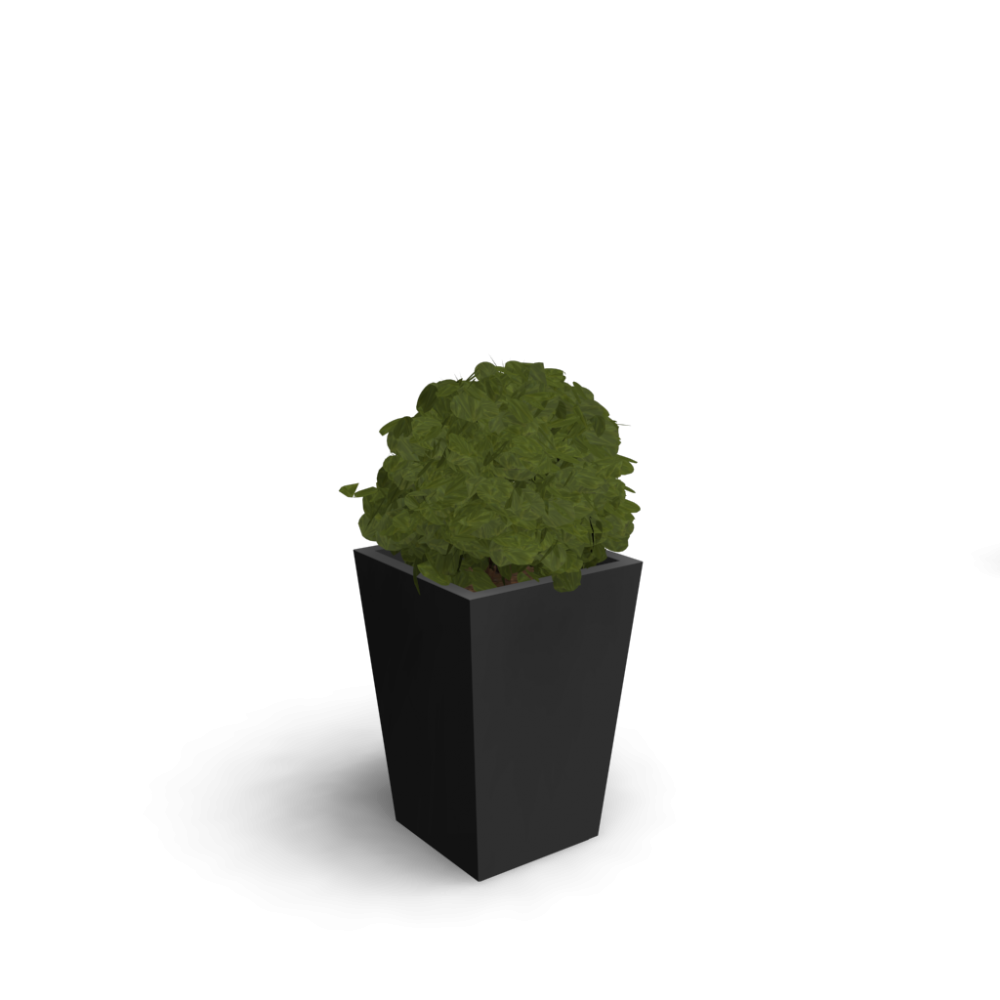 download indoor plant tree for free