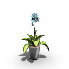 Indoor plant for your 3d room design