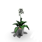 Indoor plant for your 3d room design
