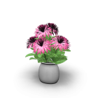 Vase with flowers