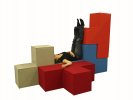 Sit Fits     © PYG Design, Fotografin: Bettina Schaddeg (http://www.bettina-schadegg.ch)